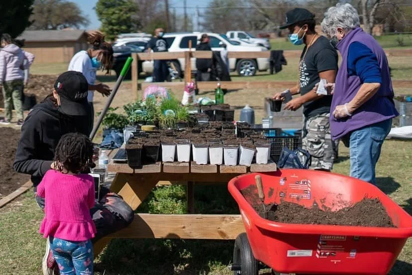 Cultivate The Community — Oak Cliff Veggie Project